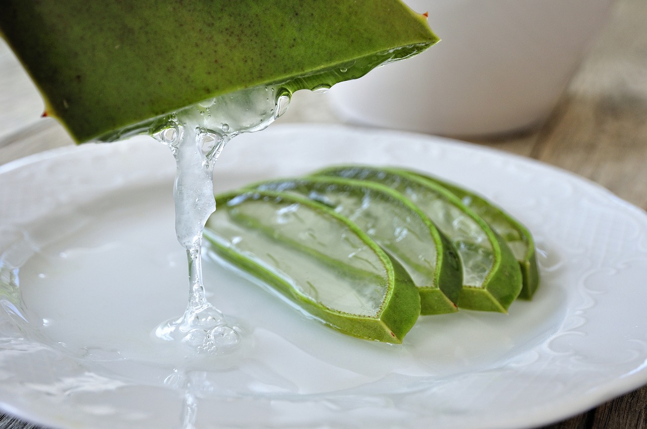 aloe, aloe vera, aloe gel-4529704.jpg